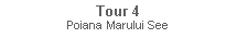 Textfeld: Tour 4Poiana Marului See