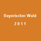 Textfeld: Bayerischer Wald2 0 1 1